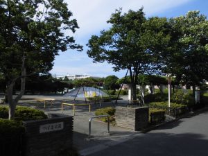 つばき公園（330m）