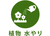 植物 水やり
