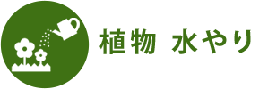 植物 水やり